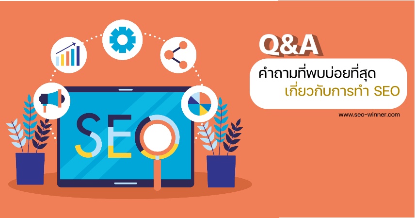 Q&A คำถามที่พบบ่อยที่สุด เกี่ยวกับการทำ SEO  by seo-winner.com